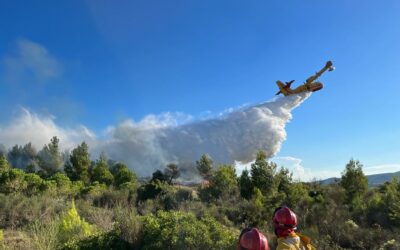 Renfort feu de forêt GIFF65 du 30 juillet au 2 août 2022